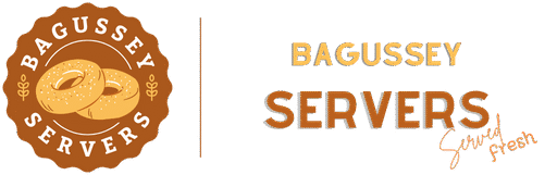 BAGUSSEY SERVERS